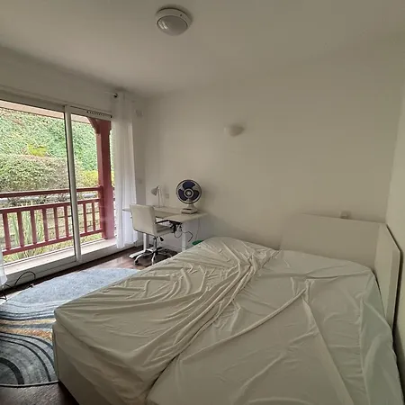 Апартаменты Superbe En Hyper Centre, Proche Plage, Linge Et Menage Inclus Аркашон